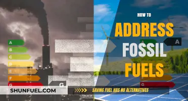 Tackling Fossil Fuels: Strategies for a Sustainable Energy Transition