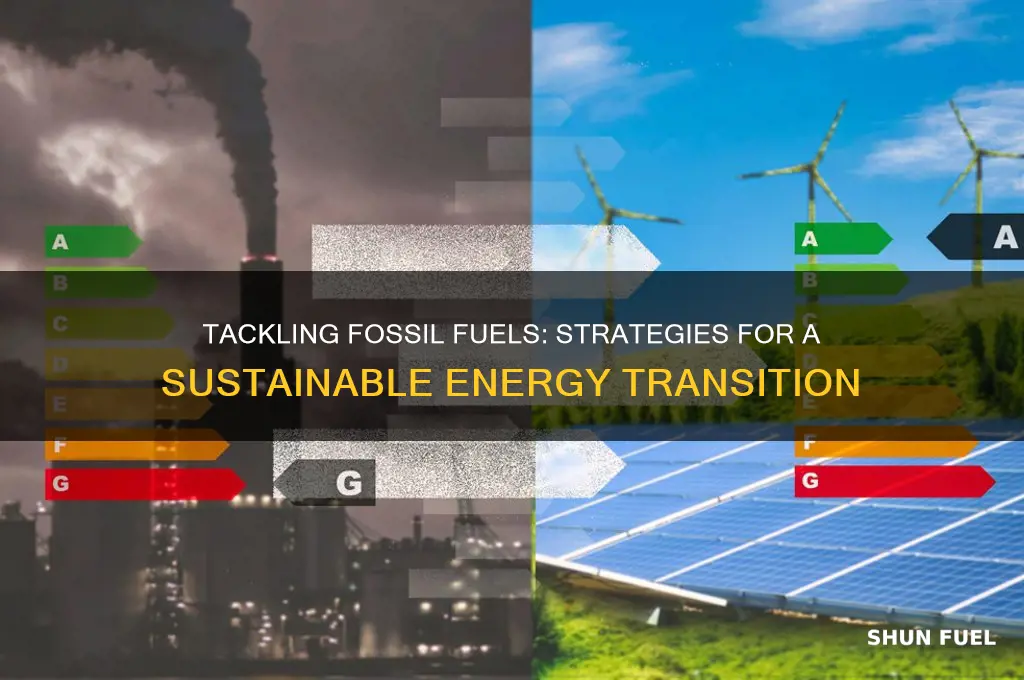 how to address fossil fuels