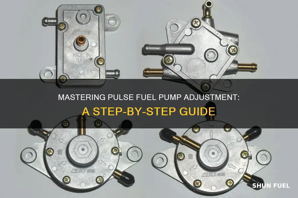 how to adjust a pulse fuel pump