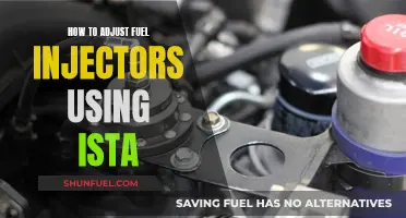 Adjusting Fuel Injectors: Using ISTA for Precision Tuning