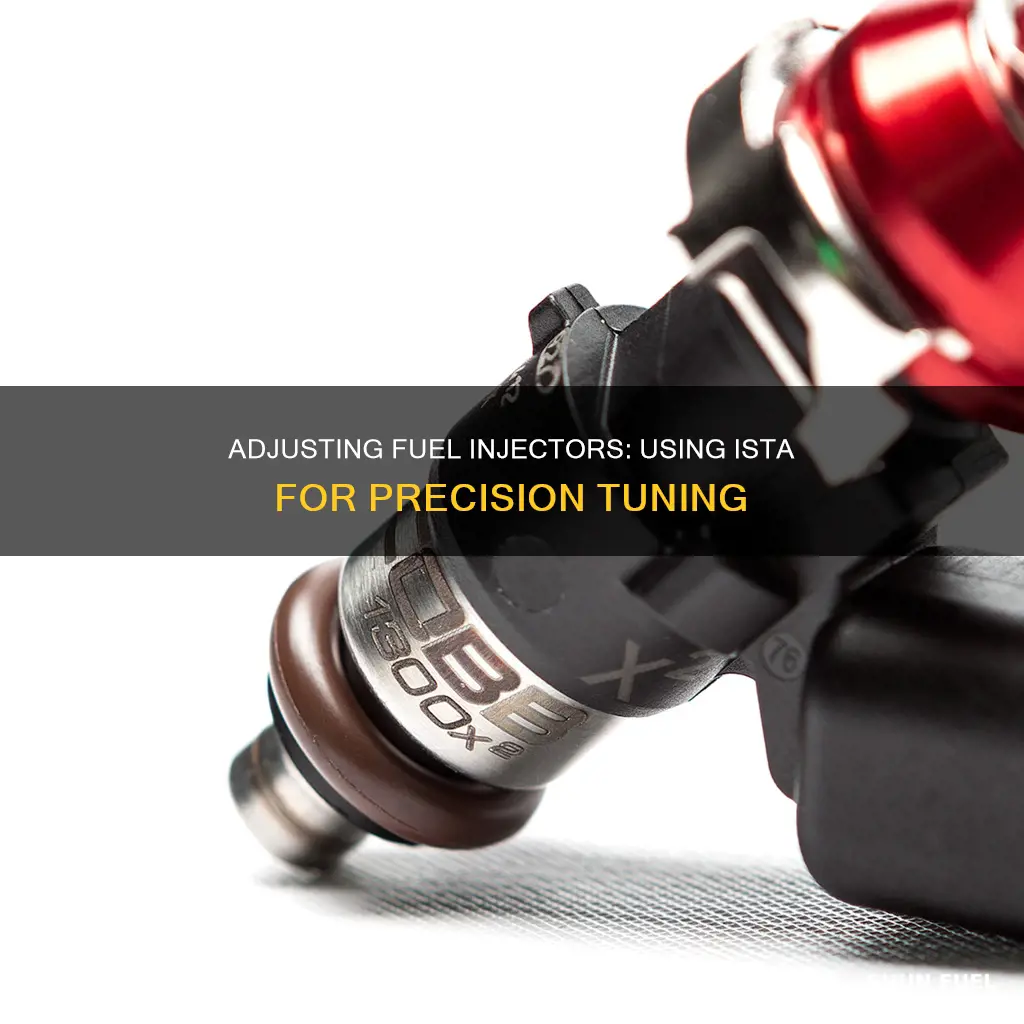 how to adjust fuel injectors using ista