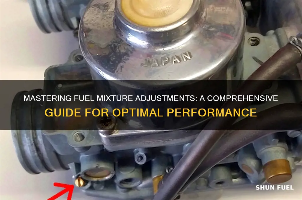 how to adjust fuel mixture