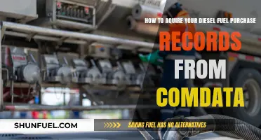 Streamlining Comdata Diesel Fuel Purchase Records Access
