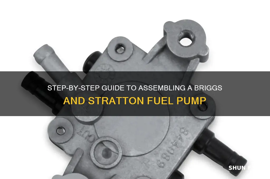 how to assemble a briggs and stratton fuel pump