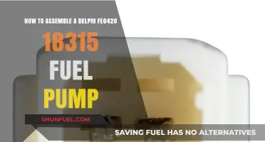 Step-by-Step Guide to Assembling Delphi FE0420 18315 Fuel Pump