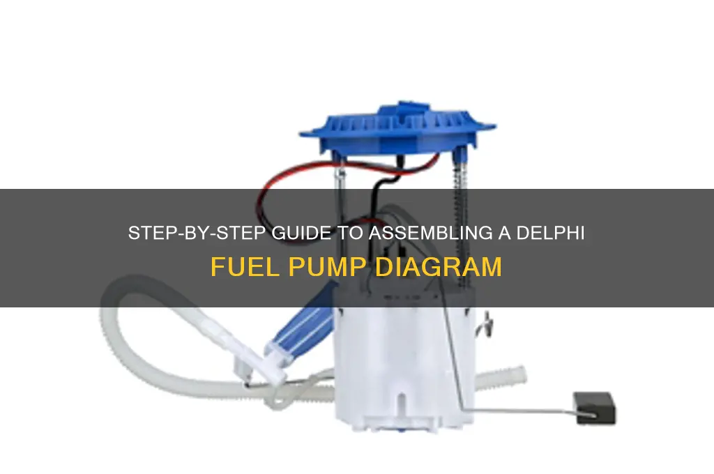 how to assemble a delphi fuel pump diagram