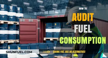 Efficient Fuel Auditing: Strategies to Monitor and Optimize Consumption