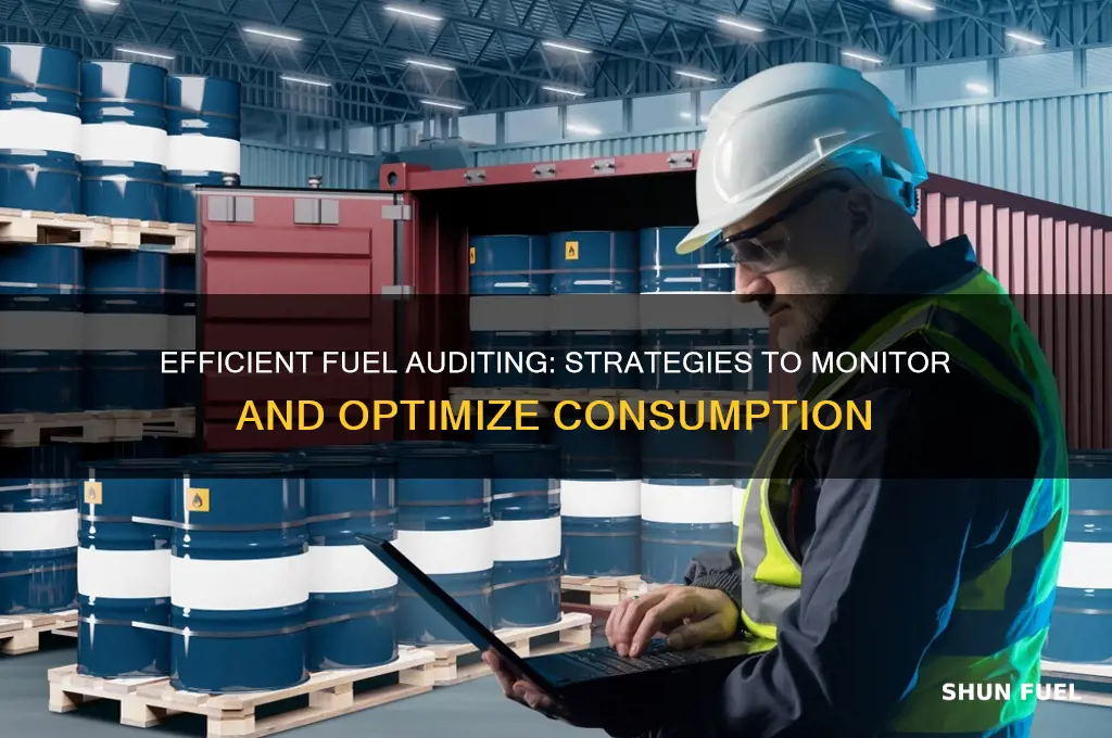 how to audit fuel consumption