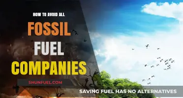 Ditching Fossil Fuels: A Guide to Avoiding Fossil Fuel Companies
