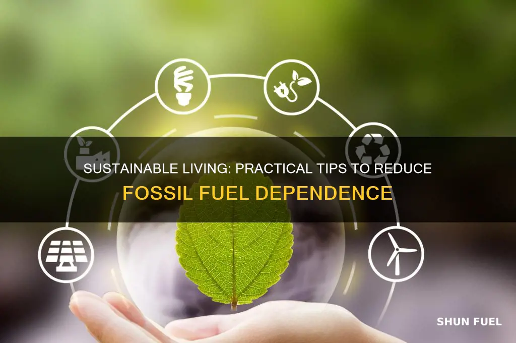how to avoid burning fossil fuels