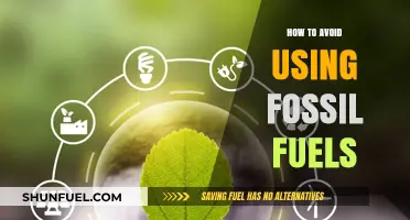 Sustainable Living: Practical Steps to Eliminate Fossil Fuel Dependence