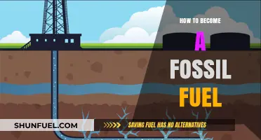 The Ancient Process of Becoming a Fossil Fuel: A Journey