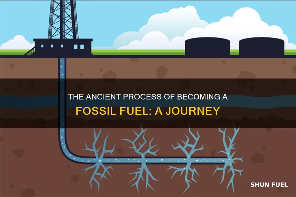 how to become a fossil fuel