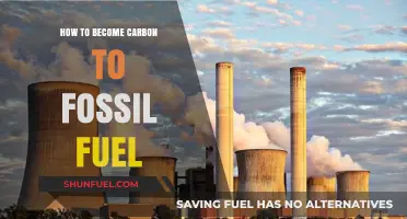 Transforming Carbon to Fossil Fuel: A Comprehensive Step-by-Step Guide