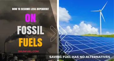 Transitioning to Clean Energy: Strategies for Reducing Fossil Fuel Dependence