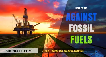 Strategic Ways to Bet Against Fossil Fuels for a Greener Future