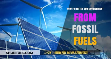 Sustainable Solutions: Reducing Fossil Fuel Dependence for a Greener Future