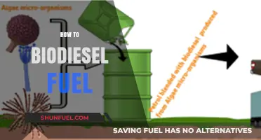 Mastering Biodiesel Production: A Step-by-Step Guide to Sustainable Fuel