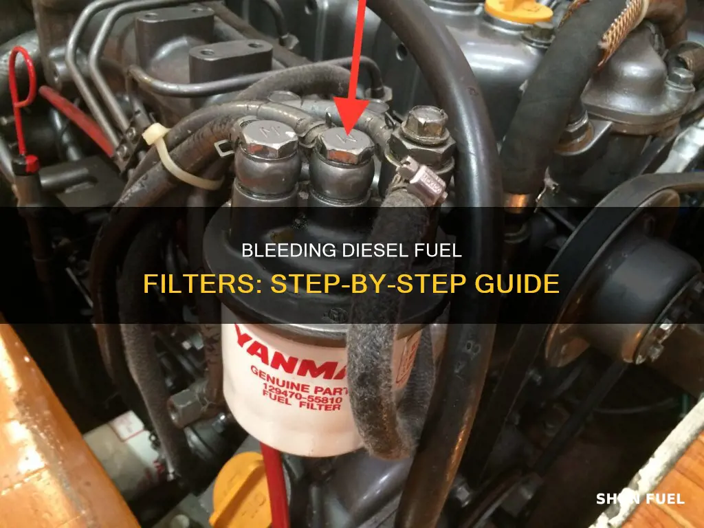 how to bleed a diesel fuel filter