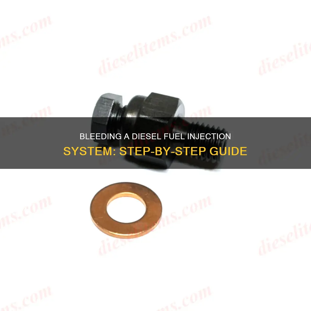 how to bleed a diesel fuel injection system