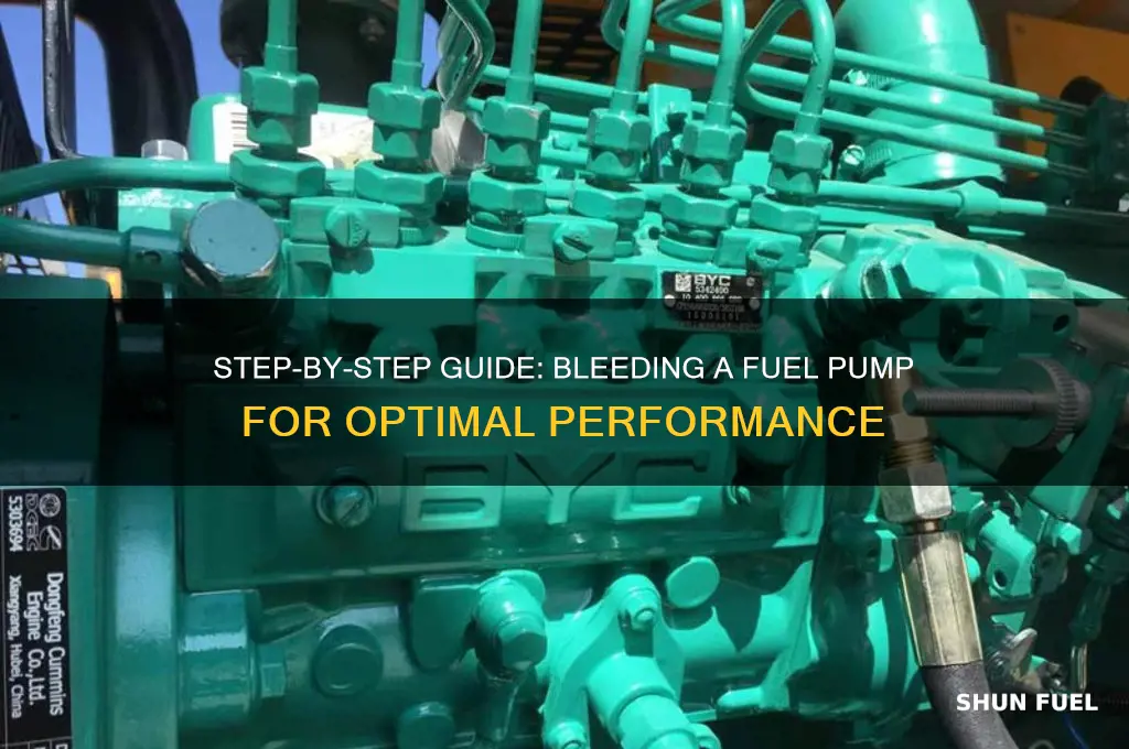 how to bleed a fuel pump