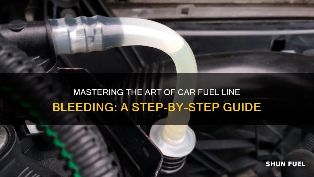 how to bleed air from car fuel line