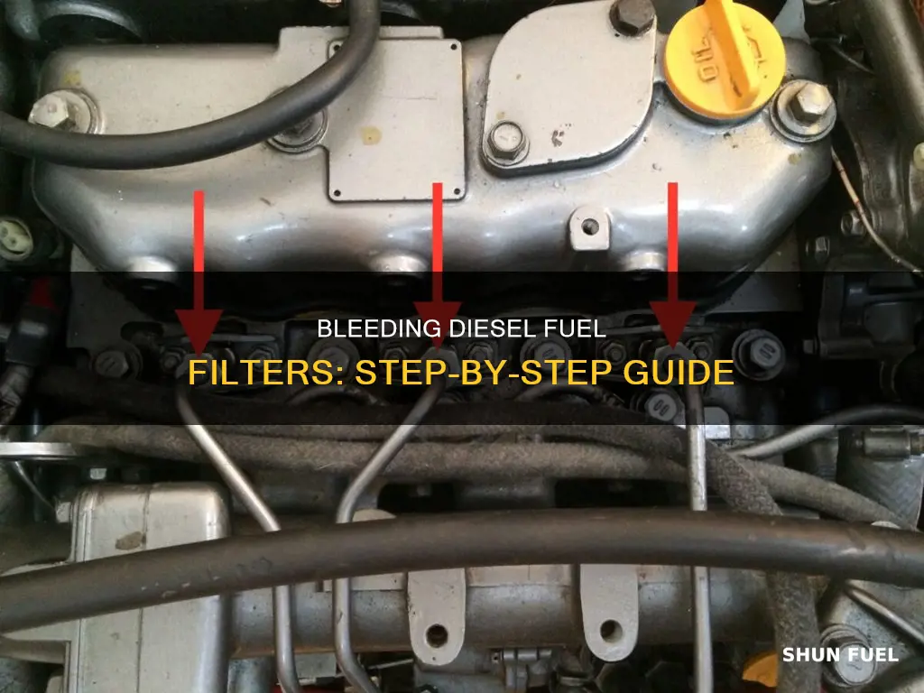 how to bleed diesel fuel filter