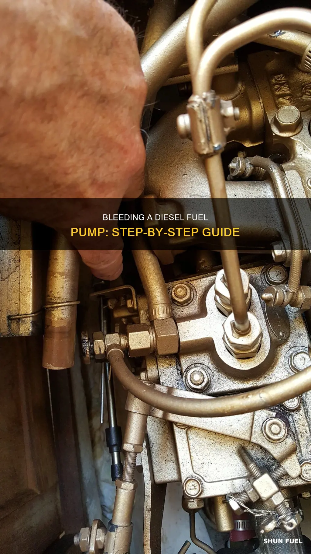 how to bleed diesel fuel pump