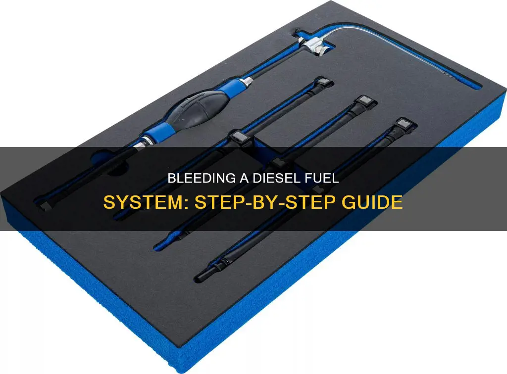 how to bleed diesel fuel system