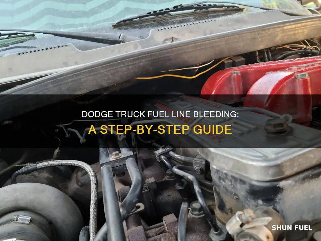 how to bleed fuel lines on a dodge truck