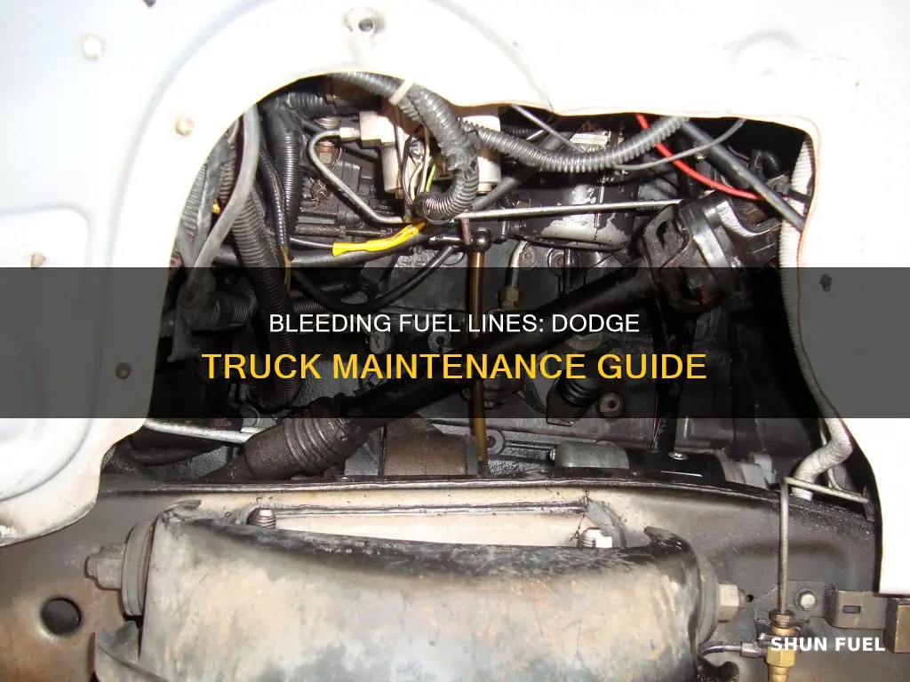 how to bleed fuel lines on a dodge truck