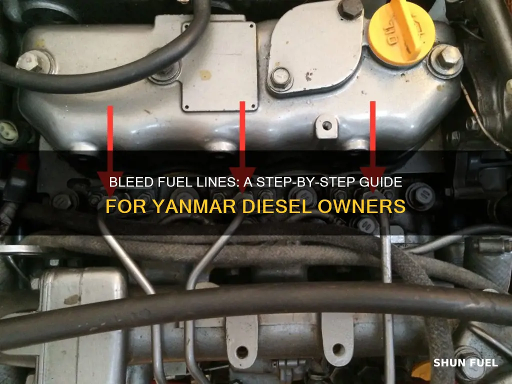 how to bleed fuel lines on a small yanmar diesel