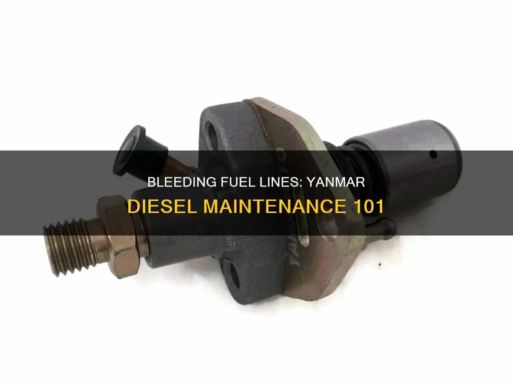 how to bleed fuel lines on a small yanmar diesel