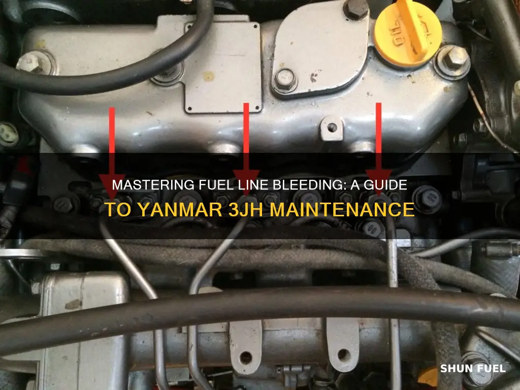 how to bleed fuel lines ona yanmar 3jh