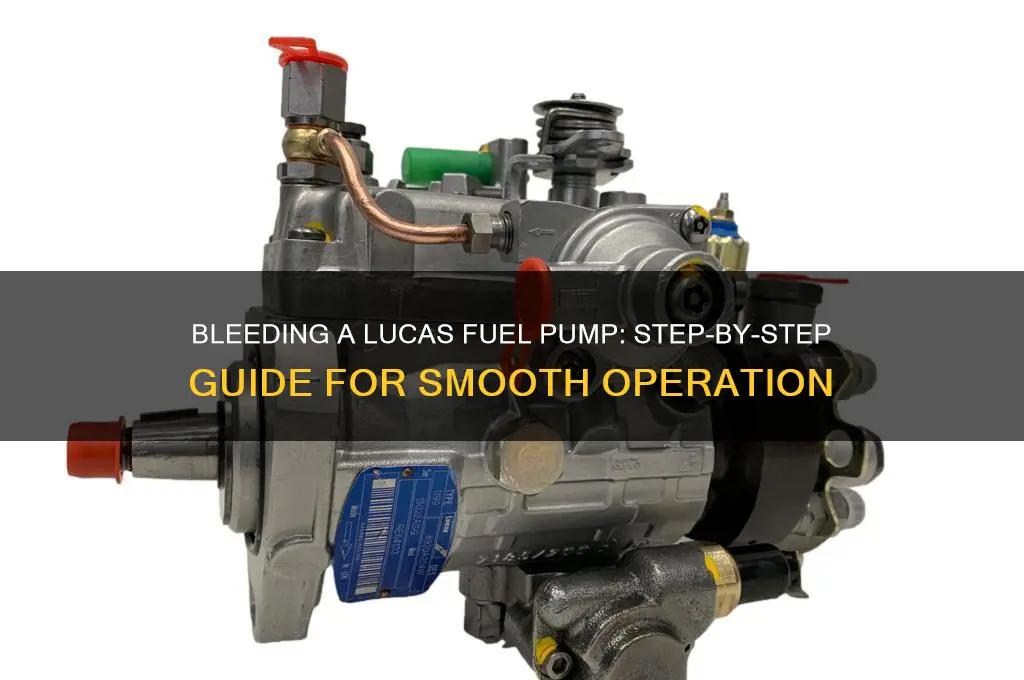 how to bleed lucas fuel pump