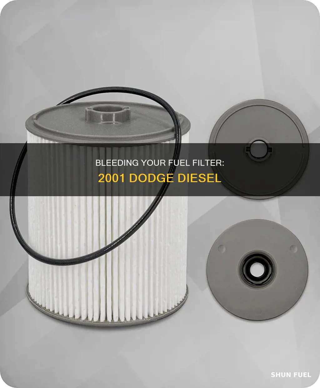 how to bleèd fuel filter on 2001 dodge diesel