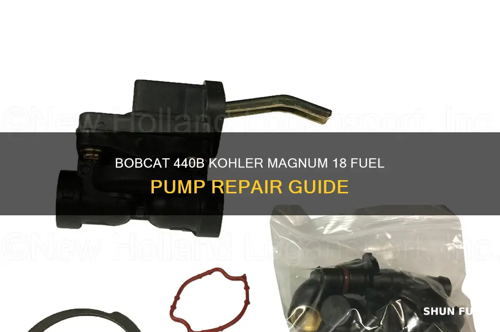 how to bobcat 440b kohler magnum 18 fuel pump