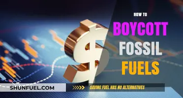 Empowering Change: Practical Steps to Boycott Fossil Fuels Effectively