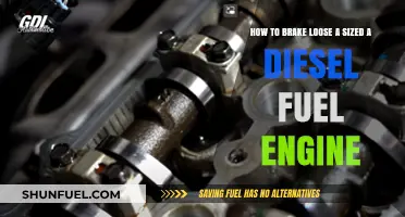 Unsticking a Diesel Engine: Freeing a Seized Fuel System