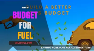 Smart Fuel Budgeting: Tips to Save Money on Gasoline
