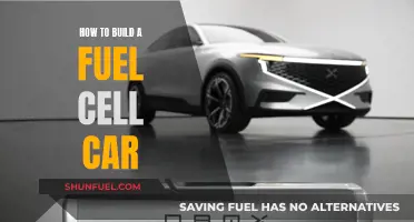 Powering the Future: A Guide to Building Your Own Fuel Cell Car