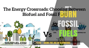 Efficiently Burning Fossil Fuels: A Comprehensive Guide to Energy Production