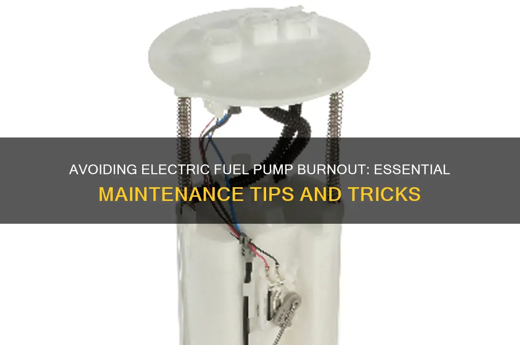 how to burn out an electric fuel pump