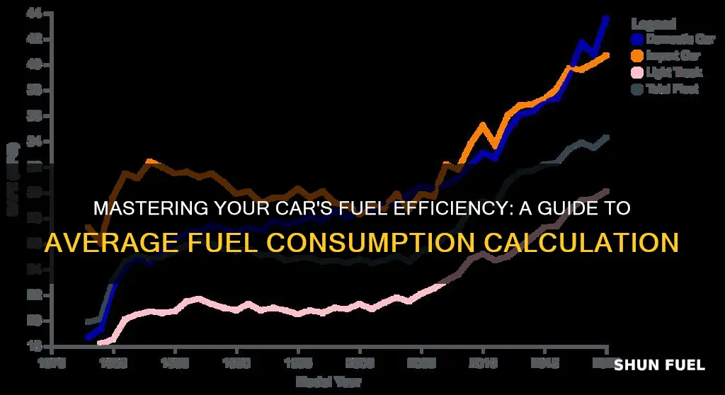 how to calculate average fuel consumption of car