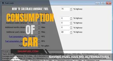 Calculating Your Car's Fuel Consumption: A Simple Guide