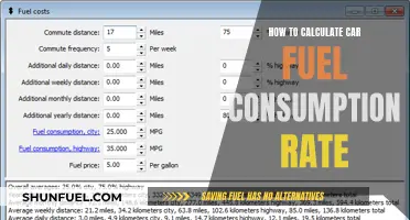 Calculating Your Car's Fuel Consumption: A Guide