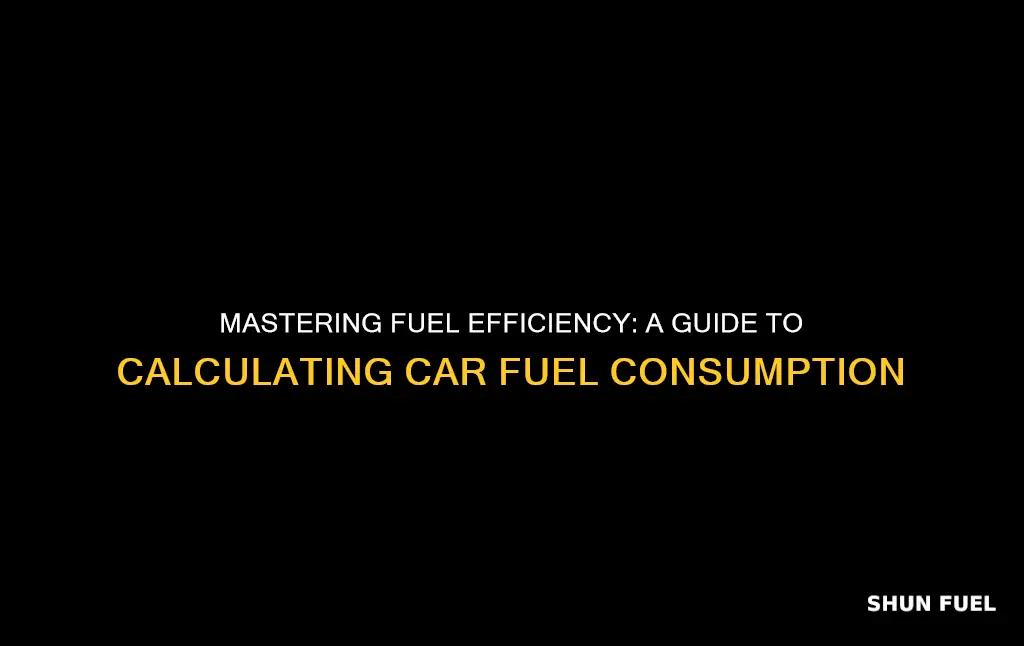 how to calculate fuel consumption in a car