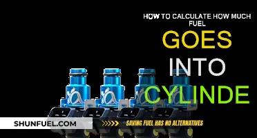 Calculating Fuel Intake: Cylinder Efficiency