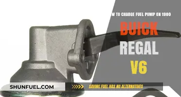 Step-by-Step Guide: Replacing the Fuel Pump on a 1980 Buick Regal V6
