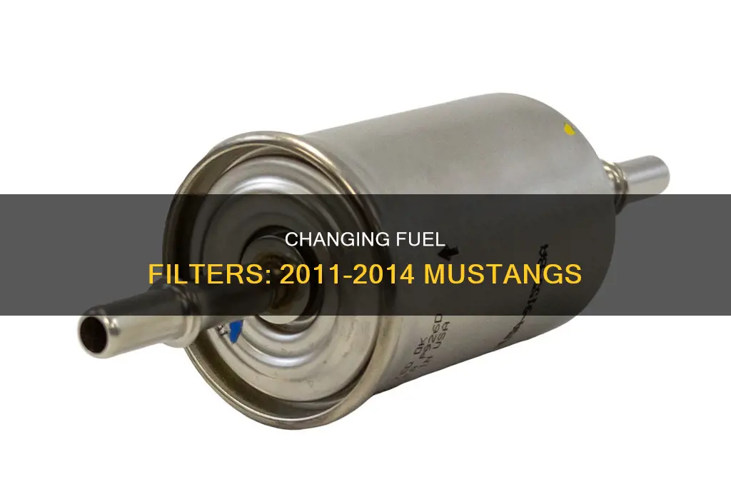 how to change 11-14 mustang fuel filter